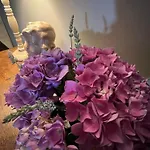 Chateau Mariande Bed & Breakfast Estancarbon