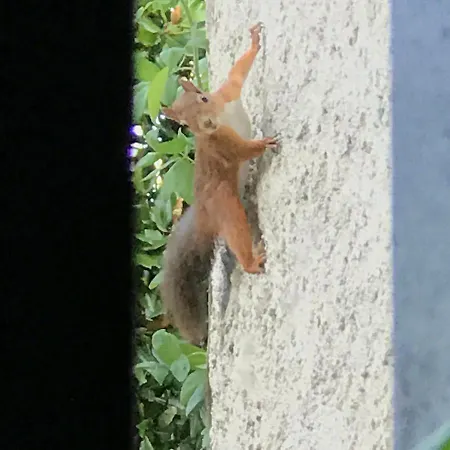 Chateau Mariande Oda ve Kahvaltı 4*