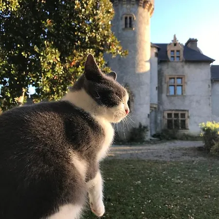 Frühstückspension Chateau Mariande *