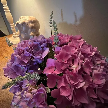 Chateau Mariande Oda ve Kahvaltı Estancarbon